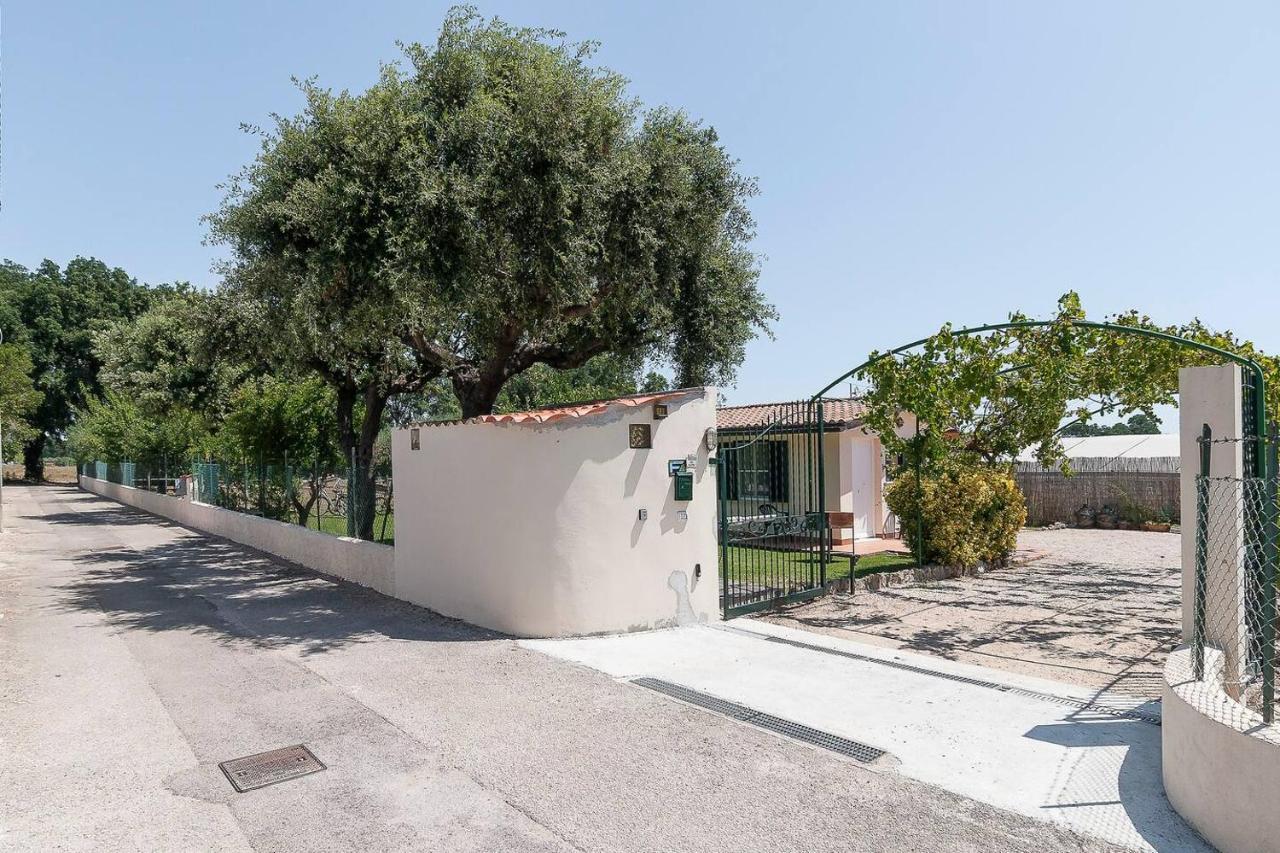 La Cesa Holiday House San Felice Circeo Extérieur photo